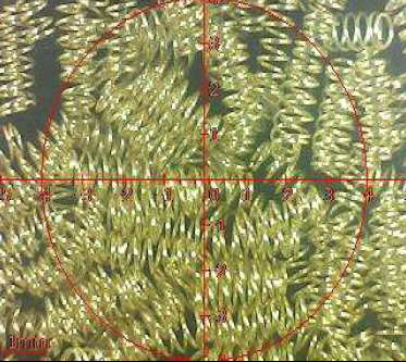 आरओएचएस वसंत चढ़ाना उत्पाद पोगो पिन परीक्षण रिपोर्ट